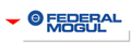 Federal Mogul ���� ��ڨT���s���˳���~�P�C