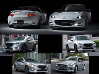 05�@�N�]��ڦ� Body Styling Kit Option�A�t�H�s���ɯų���A�M��z���w���ڦ�