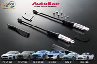 AutoExe �Ѷ}���ı������V������ 
