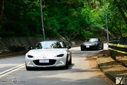 MAZDA| �U�Ʊo| ���۹F MX-5 | ROADSTER | MIATA �M�D�S�� ��4�N MX-5���֩ʬư�,�C���`�Q�r���X�h���@��