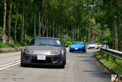 MAZDA| �U�Ʊo| ���۹F MX-5 | ROADSTER | MIATA MX-5�M�D�S��