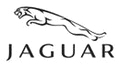Jaguar�n�[